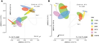 Perenniality, more than genotypes, shapes biological and chemical rhizosphere composition of perennial wheat lines